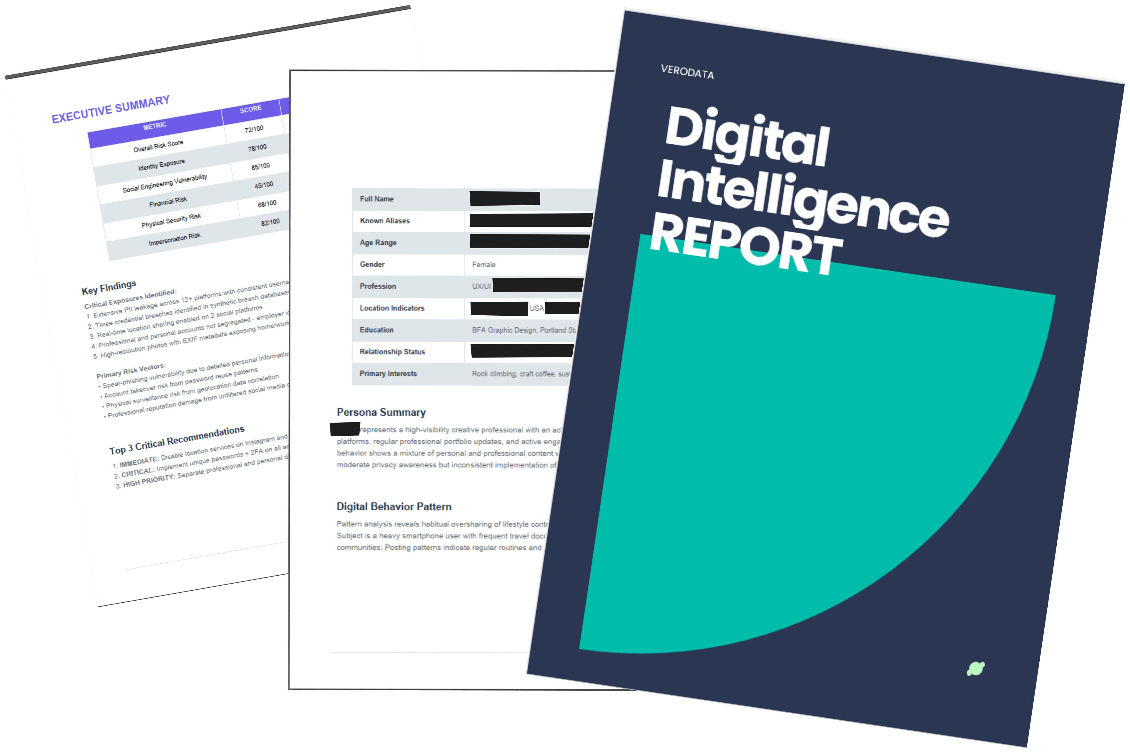 Executive summary report